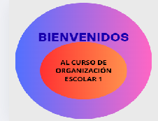 Logo Curso OE1